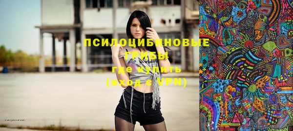 spice Аркадак