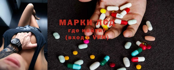 spice Аркадак
