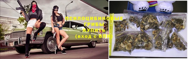 гашиш Арсеньев