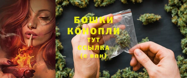 spice Аркадак