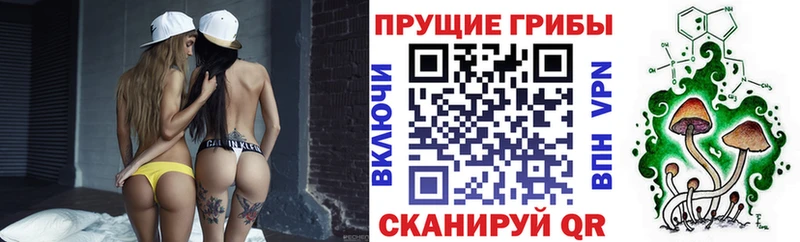 Псилоцибиновые грибы мухоморы  Сосенский 